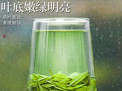 龙井茶正宗杭州原产新茶明前绿茶豆香型嫩芽春茶60g罐装图6
