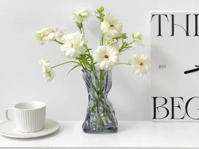 欧式创意钱袋玻璃花瓶透明水培绿萝植物插花容器客厅卧室餐桌摆件图3