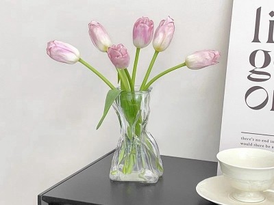 欧式创意钱袋玻璃花瓶透明水培绿萝植物插花容器客厅卧室餐桌摆件图6