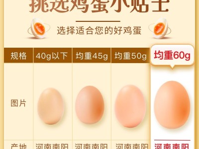 60克高品质无抗鲜蛋山林散养新鲜营养现捡现发破损包赔图3