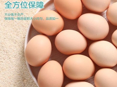 60克高品质无抗鲜蛋山林散养新鲜营养现捡现发破损包赔图7