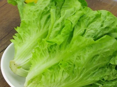 玻璃生菜新鲜蔬菜叶菜类生菜烤肉凉拌甜脆多汁沙拉菜农家新鲜蔬菜图4