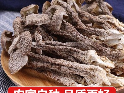 鹿茸菇干货整根鹿茸菌菇火锅食材鹿耳菇煲汤图7