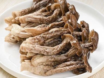 鹿茸菇干货整根鹿茸菌菇火锅食材鹿耳菇煲汤图8