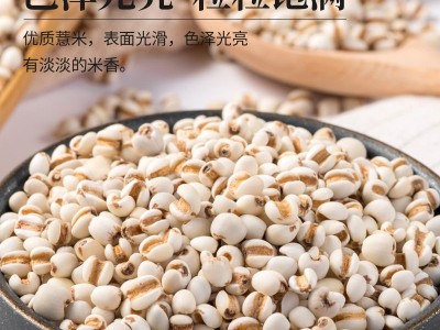 正宗6斤薏米仁祛湿农家长粒薏米粥五谷杂粮粗粮谷米图6