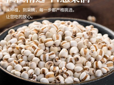 正宗6斤薏米仁祛湿农家长粒薏米粥五谷杂粮粗粮谷米图7