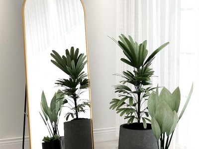 全身落地镜子网红简约少女圆角家用试衣镜图3