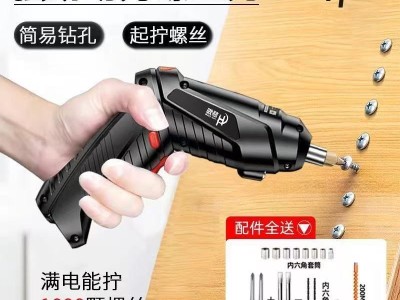 电动螺丝刀多功能全能万能型工具箱全套小电钻家用打孔器 手电钻图3