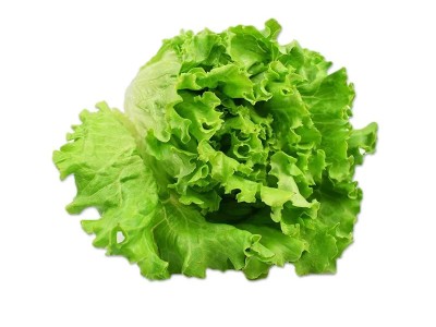 罗莎绿1-10斤花边生菜花叶新鲜蔬菜沙拉食材包烤肉食材顺丰包邮图3