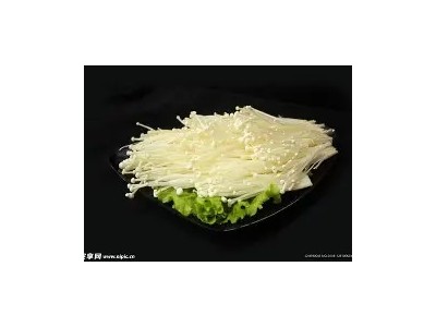 新鲜金针菇250g 时鲜菌类 凉拌烧烤蔬菜火锅素菜配菜麻辣烫食材 可开发票图4