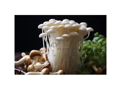 新鲜金针菇250g 时鲜菌类 凉拌烧烤蔬菜火锅素菜配菜麻辣烫食材 可开发票图5