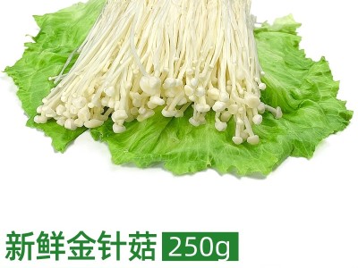 新鲜金针菇250g 时鲜菌类 凉拌烧烤蔬菜火锅素菜配菜麻辣烫食材 可开发票图6