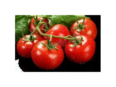 云南新鲜西红柿自然红熟沙瓤番茄产地现摘现发新鲜原生态多汁酸甜图2