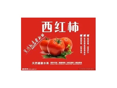 云南新鲜西红柿自然红熟沙瓤番茄产地现摘现发新鲜原生态多汁酸甜图5