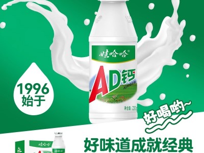 娃哈哈AD钙奶220g*20大瓶整箱早餐含牛乳酸饮料儿童哇哈哈批特价图4