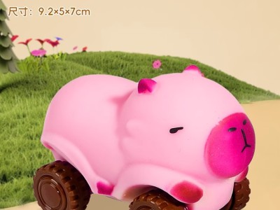 卡皮巴拉拉拉车玩具小汽车男女孩变形滑行车解压减压神器儿童捏捏图3