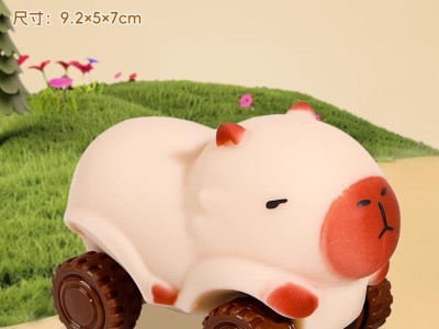 卡皮巴拉拉拉车玩具小汽车男女孩变形滑行车解压减压神器儿童捏捏图4