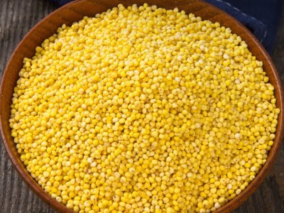 山西特产正宗大黄米新米食用粘新鲜黏黄糯小米农家黍糜包粽子杂粮 2斤【山西繁峙大黄米】(500克*2袋真空装)图3