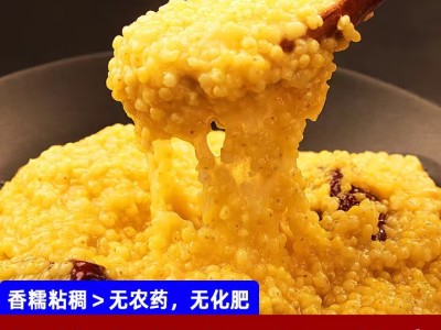 山西特产正宗大黄米新米食用粘新鲜黏黄糯小米农家黍糜包粽子杂粮 2斤【山西繁峙大黄米】(500克*2袋真空装)图4