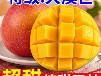 正宗澳芒水果大芒果新鲜热带水果现摘金煌苹果芒特大   大果（单果6两起）图4