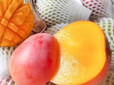 正宗澳芒水果大芒果新鲜热带水果现摘金煌苹果芒特大   大果（单果6两起）图5