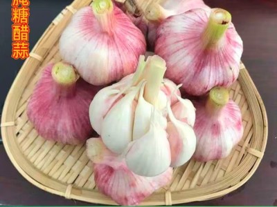 春平赋2025年新鲜大蒜头现挖新蒜紫皮大蒜批发鲜蒜红皮蒜糖醋湿蒜图5