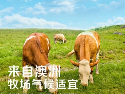 【冰鲜牛肉】澳洲谷饲原切三角牛肉烤肉切片120g 生鲜鲜肉图4