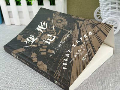 【变形记】:卡夫卡短篇小说选 现代派文学鼻祖代表作洞悉现代人困境图3