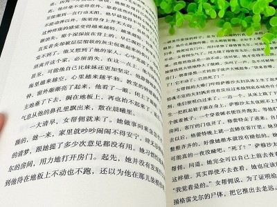 【变形记】:卡夫卡短篇小说选 现代派文学鼻祖代表作洞悉现代人困境图5