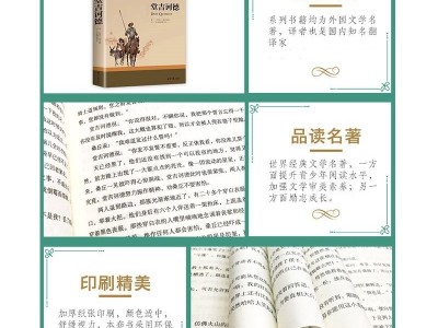 堂吉诃德正版名家名译堂吉柯德唐吉诃德世界文学图3
