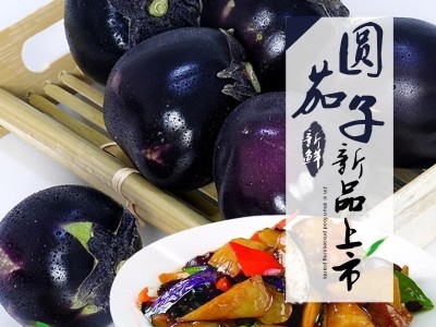 新鲜圆茄子现摘山东茄子农家自种不催熟鲜嫩茄子新鲜茄子批发包邮图4