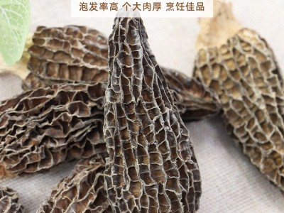 云南野生羊肚菌袋装煲汤食材细纹无沙头茬剪柄菌菇汤料包干货批发图4