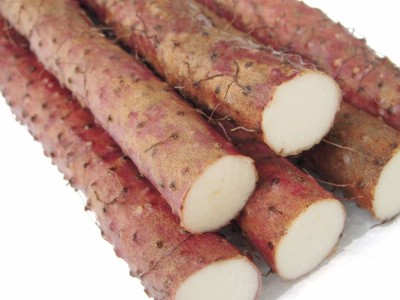 垆土新鲜铁棍山药精选5斤焦作垆土铁杆怀淮山约河南特产图2