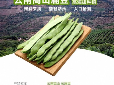 云南现摘扁豆四季豆5斤刀豆芸豆荷兰豆无筋豆当季新鲜蔬菜豆角图5