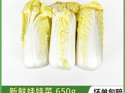 新鲜娃娃菜650g 新鲜蔬菜黄心小白菜火锅烧烤食材 满5件包邮图3