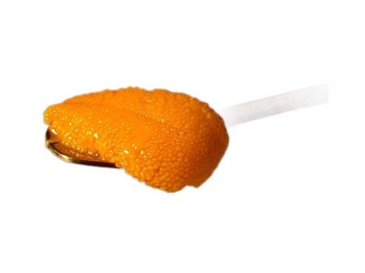 新鲜海胆肉现剥大连马粪海胆鲜活冷冻海胆肉刺身纯海胆黄即食商用图5