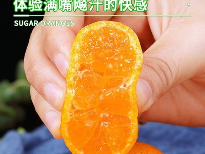 正宗广西砂糖橘新鲜水果当季蜜桔金秋沙糖桔橘子贡柑图4