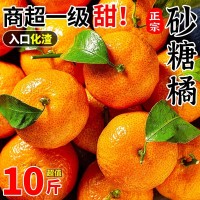 正宗广西砂糖橘新鲜水果当季蜜桔金秋沙糖桔橘子贡柑