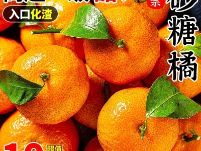 正宗广西砂糖橘新鲜水果当季蜜桔金秋沙糖桔橘子贡柑图3