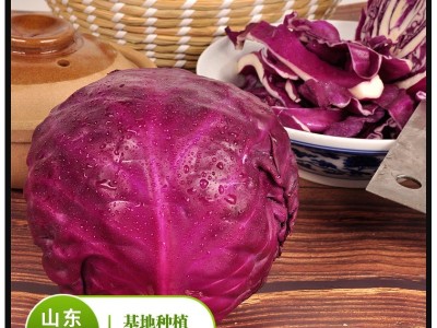 山东寿光新鲜紫甘蓝新鲜紫包菜卷心菜图4