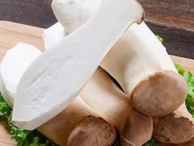 新鲜杏鲍菇食用菌菇火锅烧烤煲汤蔬菜 新鲜杏鲍菇图3