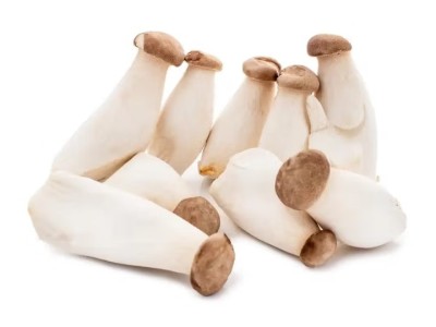 新鲜杏鲍菇食用菌菇火锅烧烤煲汤蔬菜 新鲜杏鲍菇图6