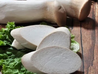 新鲜杏鲍菇食用菌菇火锅烧烤煲汤蔬菜 新鲜杏鲍菇图5