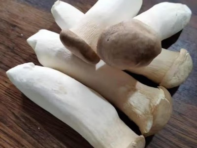 新鲜杏鲍菇食用菌菇火锅烧烤煲汤蔬菜 新鲜杏鲍菇图4