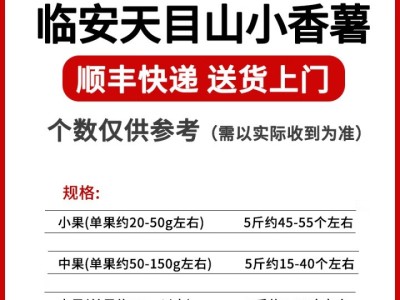 临安天目山小香薯新鲜现挖板栗红薯地瓜小番薯图2