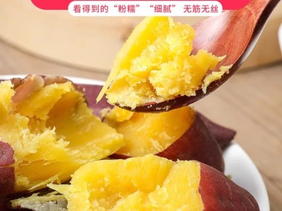 临安天目山小香薯新鲜现挖板栗红薯地瓜小番薯图3