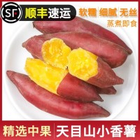 临安天目山小香薯新鲜现挖板栗红薯地瓜小番薯