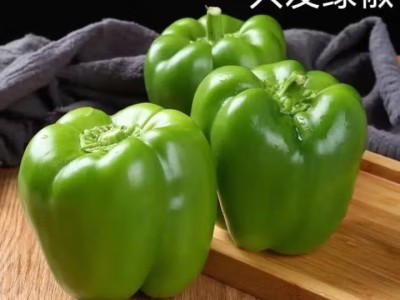 现摘新鲜圆辣椒超市即食太空椒皮厚肉多不辣水果灯笼椒图5