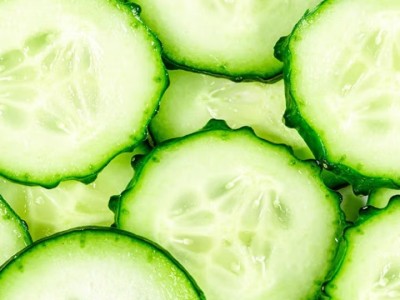 山东带刺长黄瓜口感脆爽源头图2