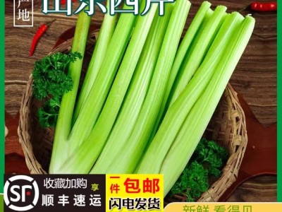 山东西芹半叶新鲜芹菜蔬菜嫩心山东青菜图4